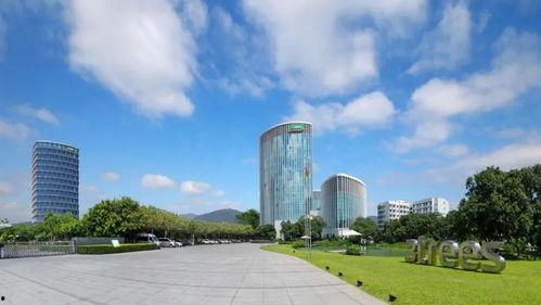 三棵树爆料恒大事件视频,三棵树揭露惊人内幕，深度剖析行业风云  第1张