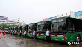 洛阳汽车站爆料事件最新,揭秘背后真相与争议  第2张