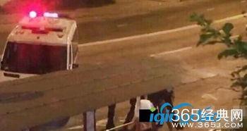 野站门视频在线观看,视频内容深度解析 第3张 野站门视频在线观看,视频内容深度解析 第3张